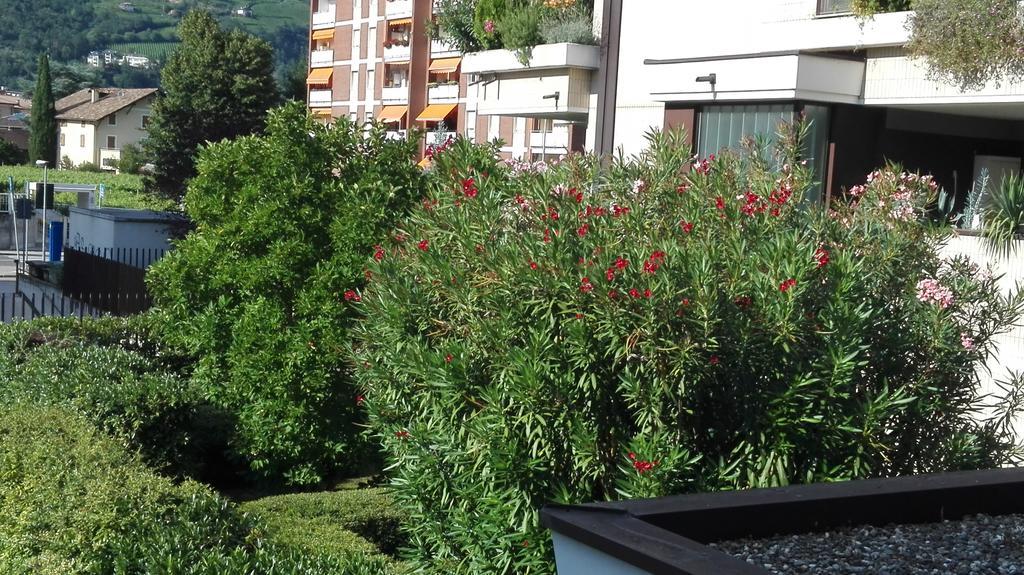 Camere Bolzano Da Glauco Екстериор снимка